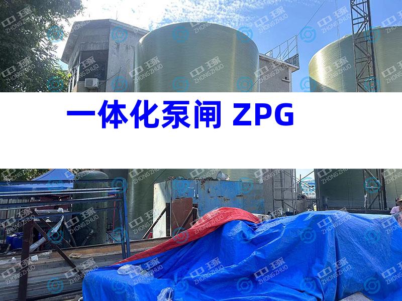 一体化泵闸 ZPG